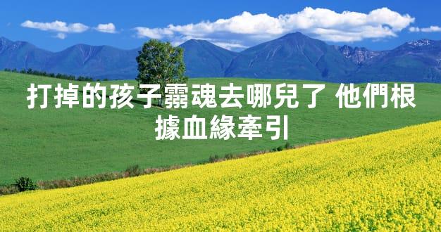 打掉的孩子霛魂去哪兒了 他們根據血緣牽引